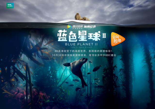 宝宝把腿开大一点就不疼了剧照2